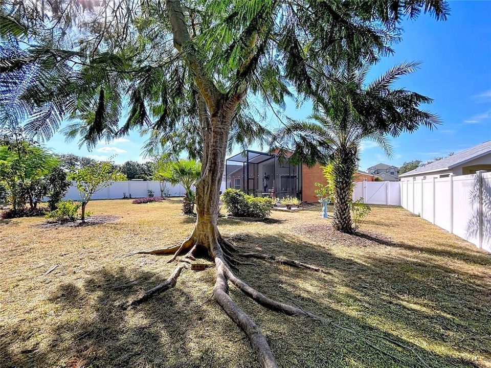 For Sale: $369,000 (4 beds, 3 baths, 1797 Square Feet)