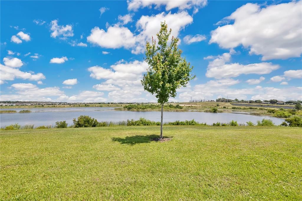 出租: $2,650 (3 贝兹, 3 浴室, 1890 平方英尺)