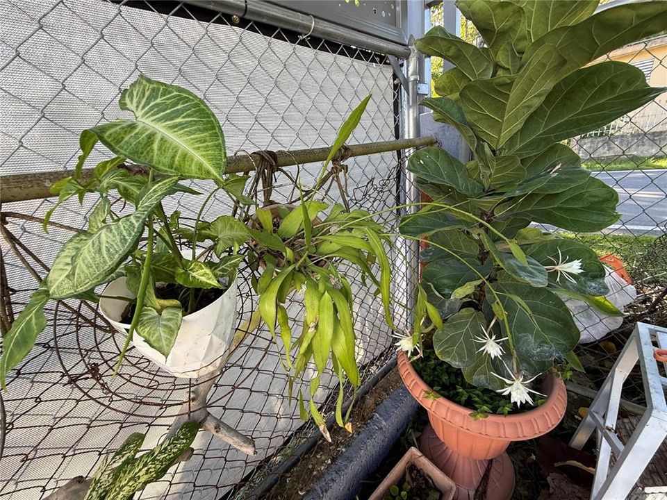 待售: $180,000 (2 贝兹, 2 浴室, 1000 平方英尺)