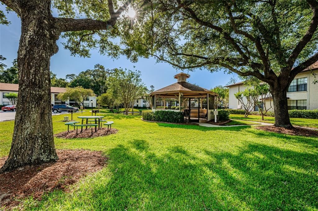 出租: $1,800 (2 贝兹, 2 浴室, 1070 平方英尺)