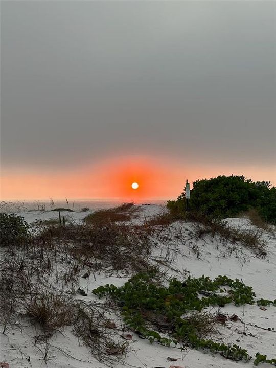 出租: $3,000 (1 贝兹, 1 浴室, 775 平方英尺)