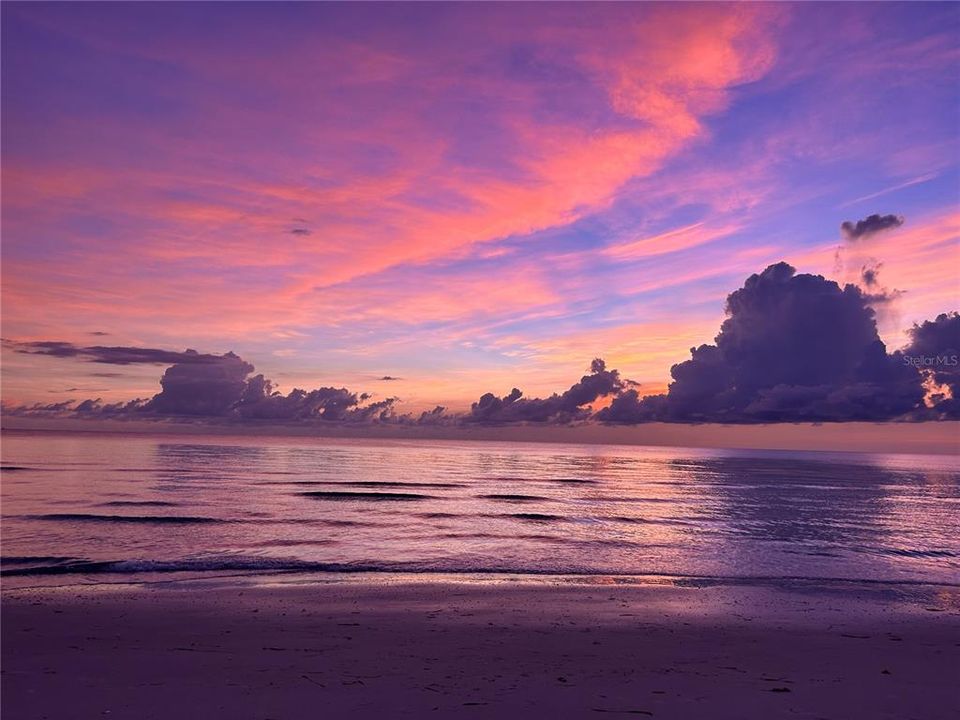 出租: $3,000 (1 贝兹, 1 浴室, 775 平方英尺)