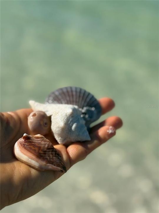 出租: $3,000 (1 贝兹, 1 浴室, 775 平方英尺)