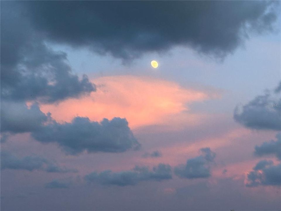 出租: $3,000 (1 贝兹, 1 浴室, 775 平方英尺)