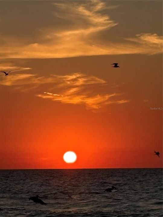 出租: $3,000 (1 贝兹, 1 浴室, 775 平方英尺)