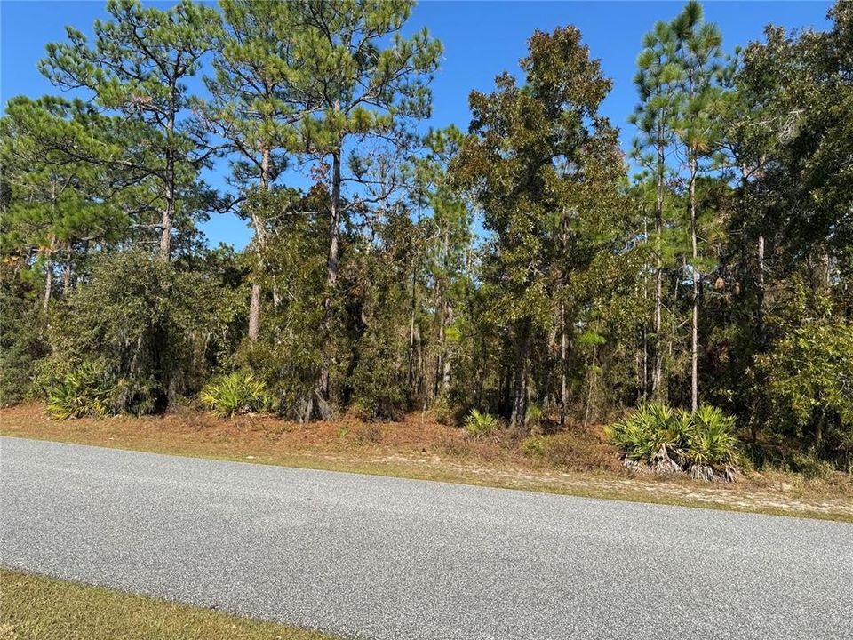 На продажу: $34,000 (0.29 acres)