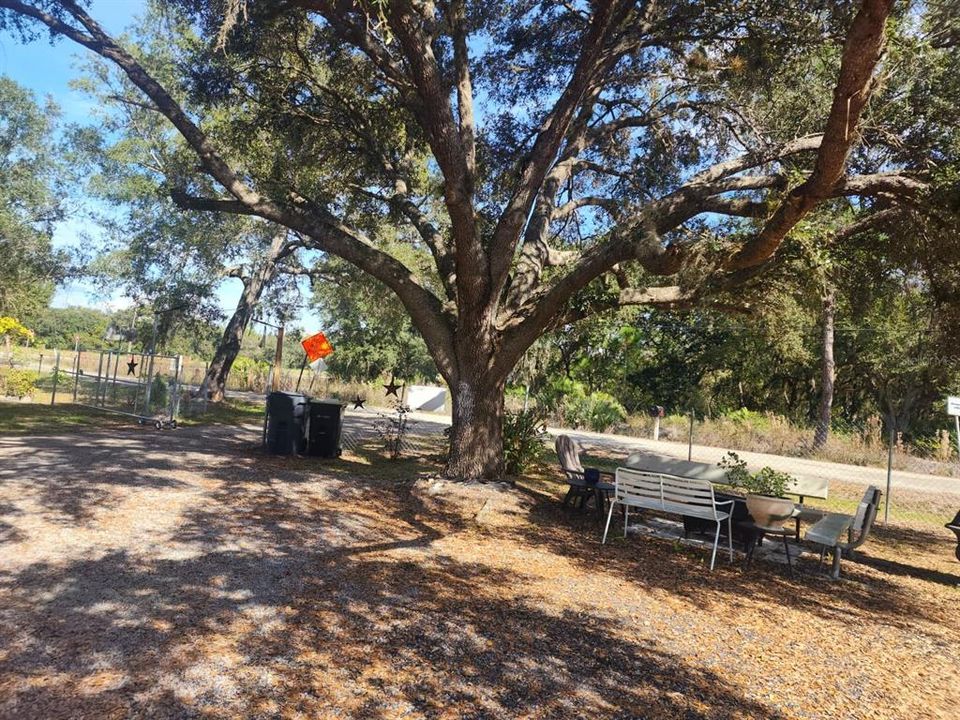 For Sale: $198,900 (2 beds, 1 baths, 516 Square Feet)