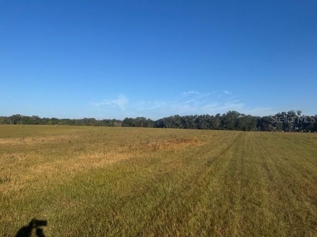 For Sale: $1,390,000 (40.00 acres)