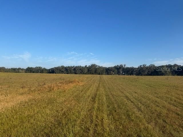 For Sale: $1,390,000 (40.00 acres)