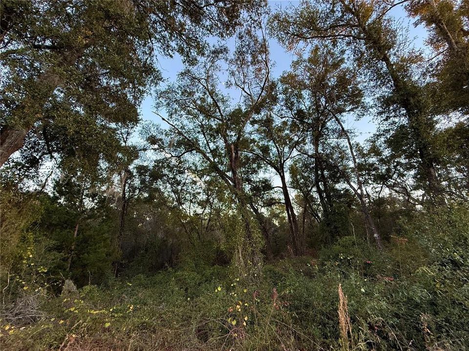 На продажу: $12,000 (0.46 acres)