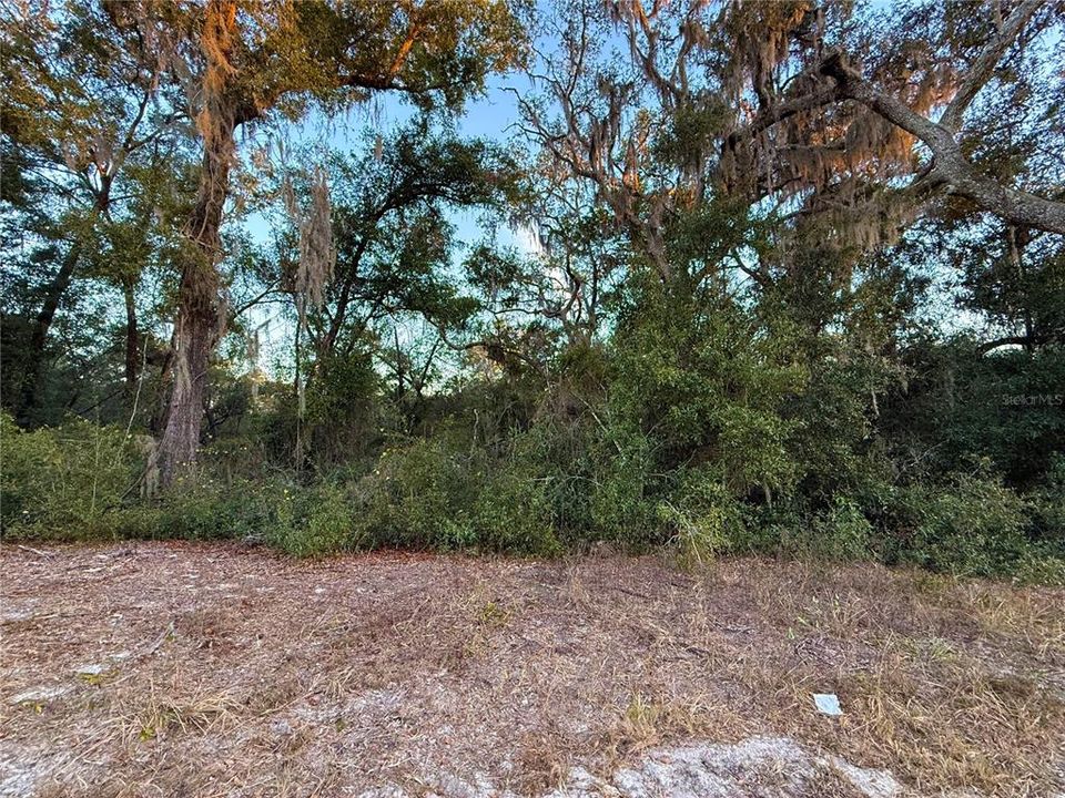 На продажу: $12,000 (0.46 acres)