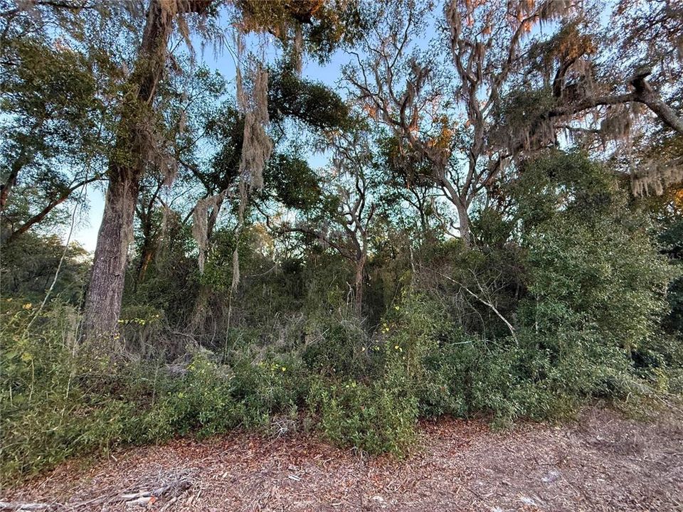 На продажу: $12,000 (0.46 acres)