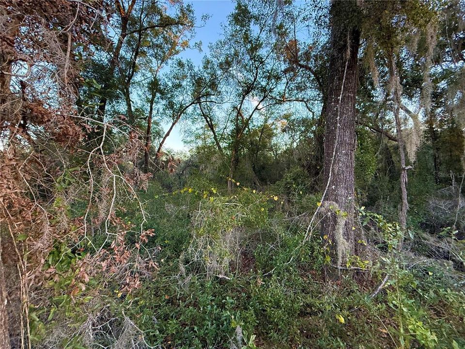 На продажу: $12,000 (0.46 acres)