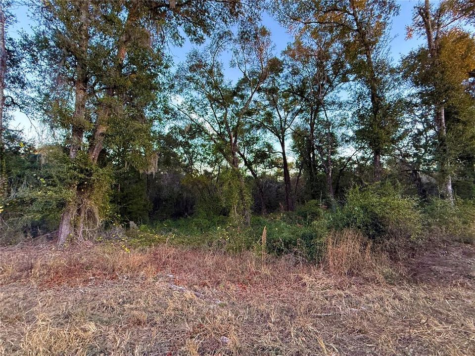 На продажу: $12,000 (0.46 acres)