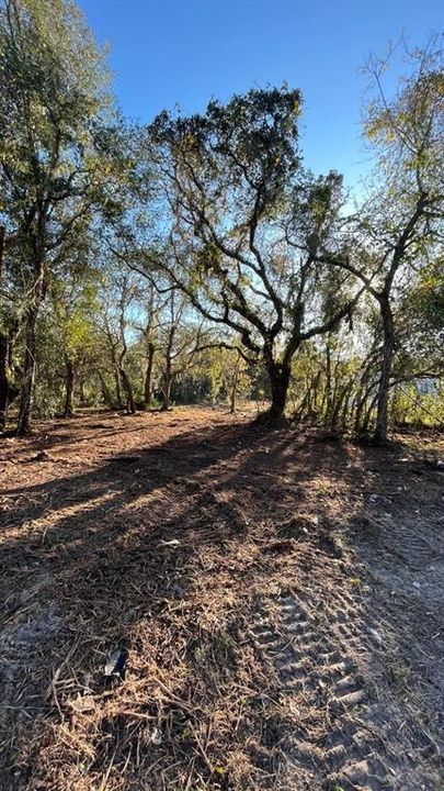 For Sale: $49,500 (0.23 acres)