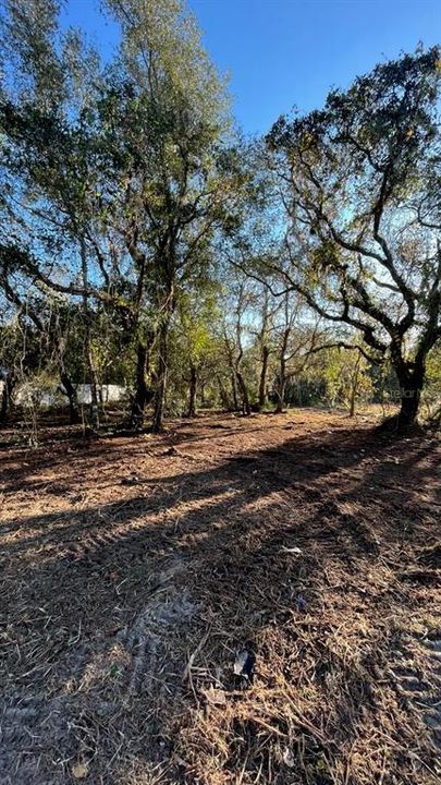For Sale: $49,500 (0.23 acres)