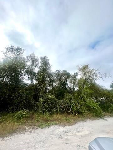 For Sale: $49,500 (0.23 acres)