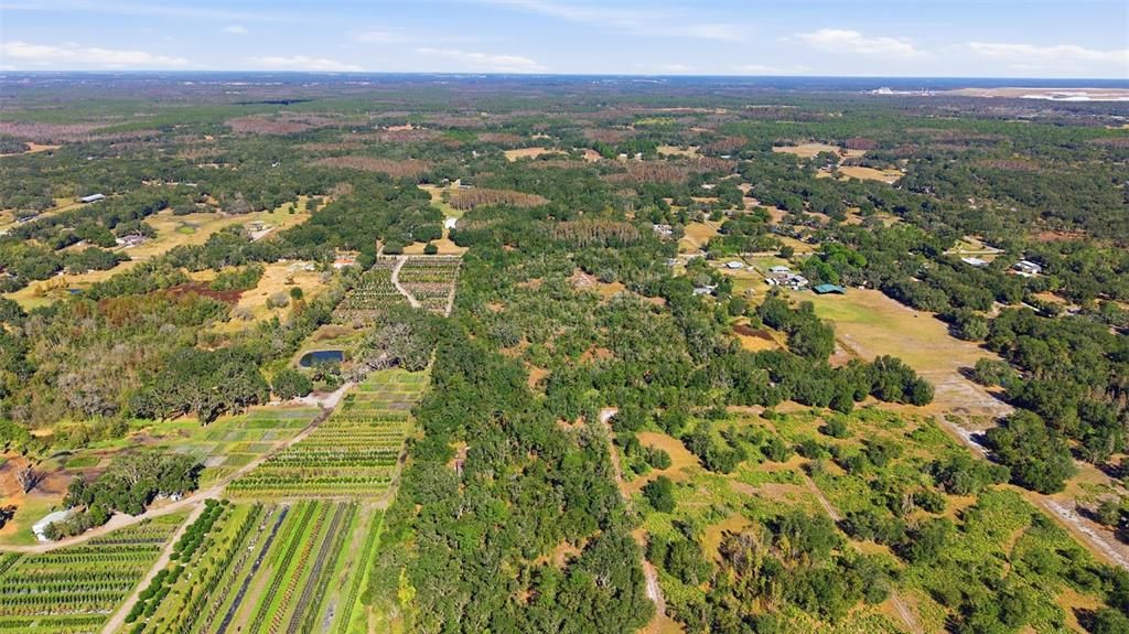 待售: $255,000 (9.50 acres)