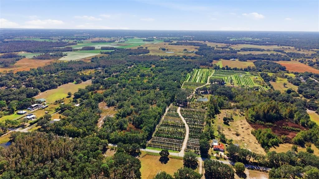 待售: $255,000 (9.50 acres)