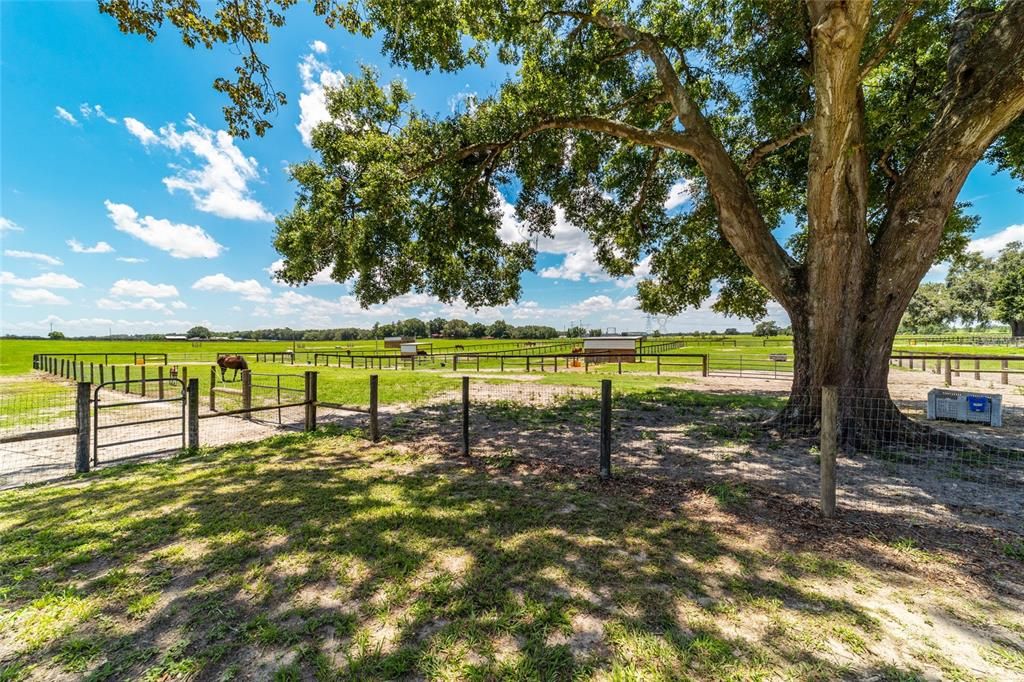 En Venta: $2,844,400 (5 camas, 4 baños, 2654 Pies cuadrados)