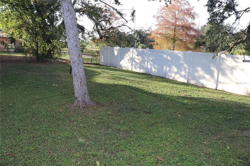 For Sale: $324,900 (4 beds, 2 baths, 1556 Square Feet)