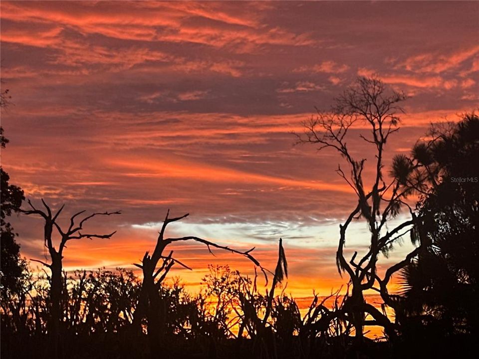 For Sale: $495,000 (4 beds, 3 baths, 2287 Square Feet)