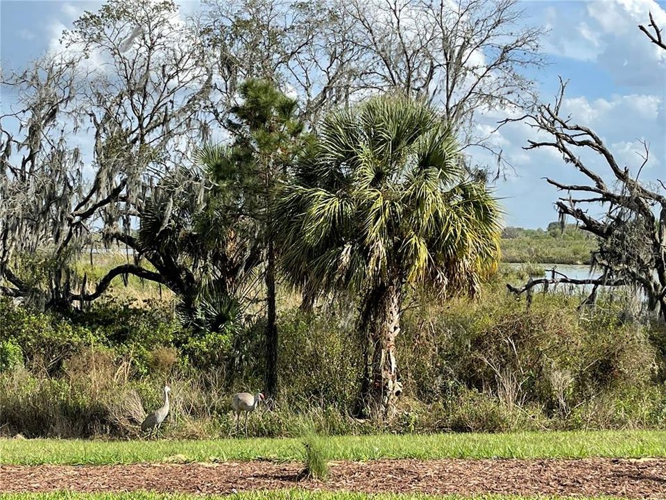 For Sale: $495,000 (4 beds, 3 baths, 2287 Square Feet)