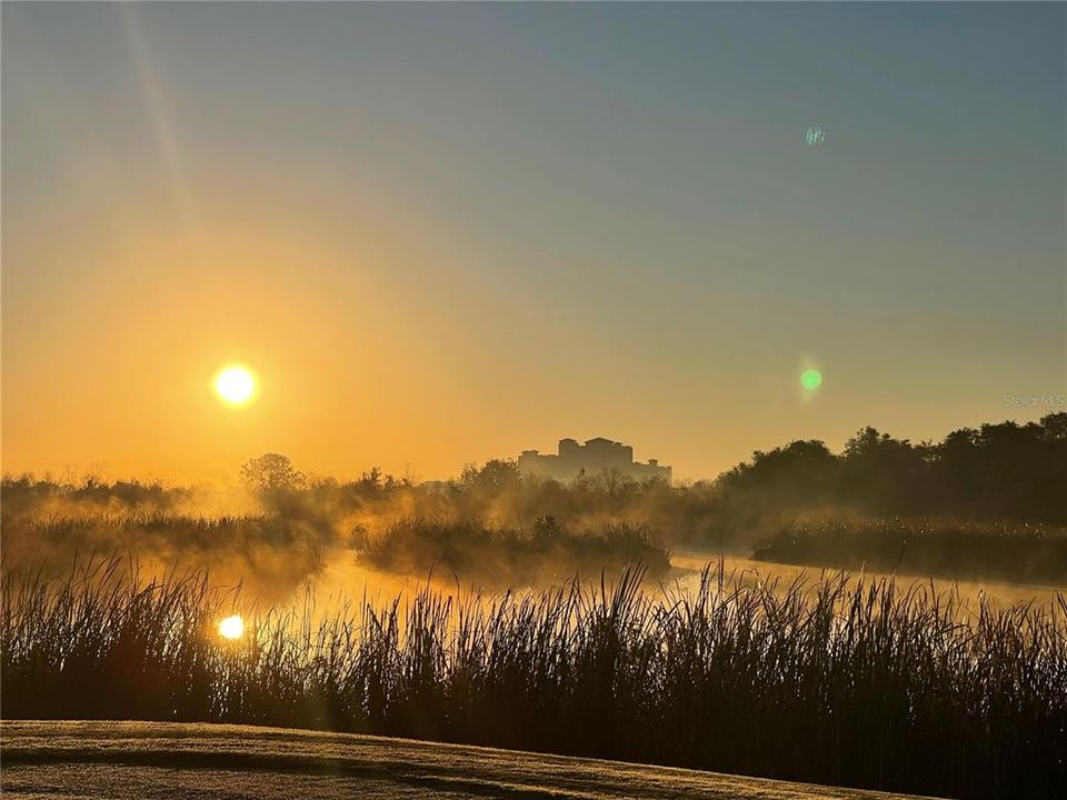 For Sale: $495,000 (4 beds, 3 baths, 2287 Square Feet)