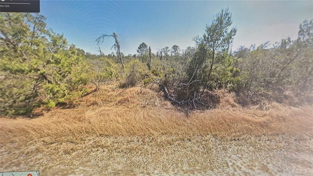 For Sale: $7,999 (0.25 acres)