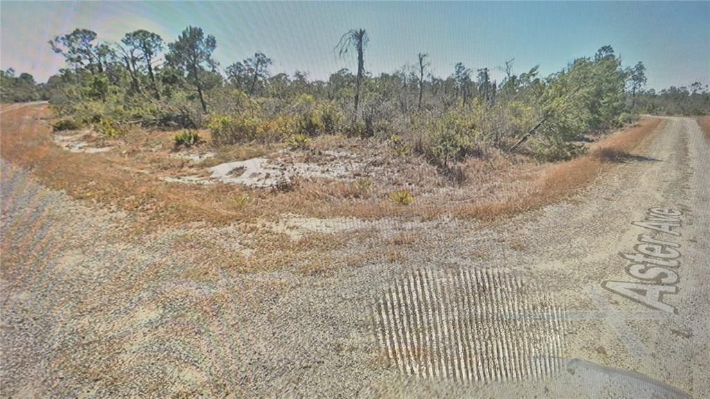 For Sale: $7,999 (0.25 acres)