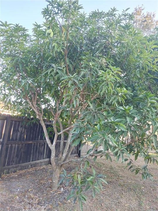 For Sale: $419,765 (4 beds, 2 baths, 2728 Square Feet)