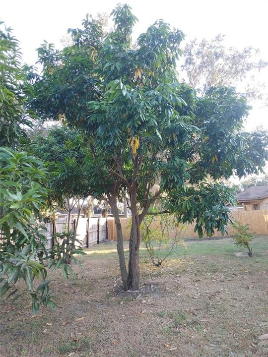 For Sale: $419,765 (4 beds, 2 baths, 2728 Square Feet)