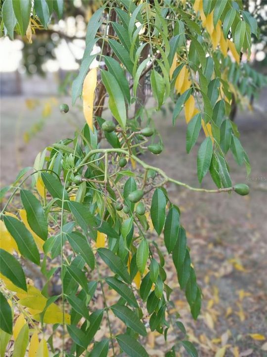 For Sale: $419,765 (4 beds, 2 baths, 2728 Square Feet)