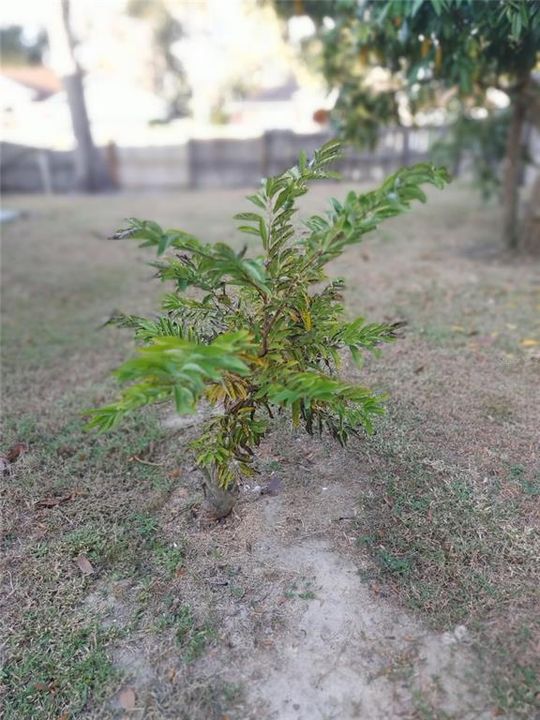 For Sale: $419,765 (4 beds, 2 baths, 2728 Square Feet)