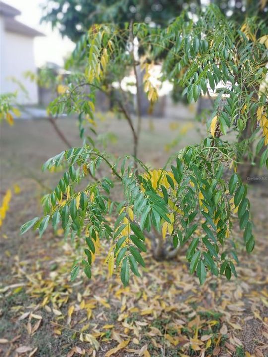 For Sale: $419,765 (4 beds, 2 baths, 2728 Square Feet)