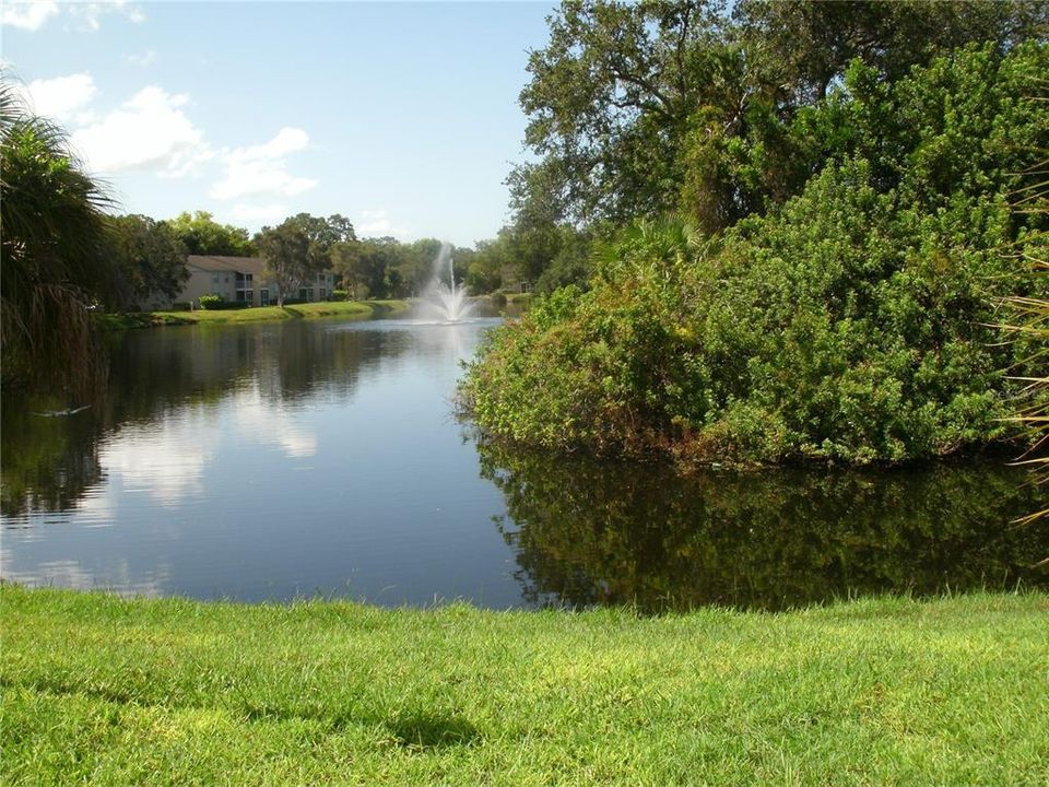 出租: $1,400 (1 贝兹, 1 浴室, 618 平方英尺)