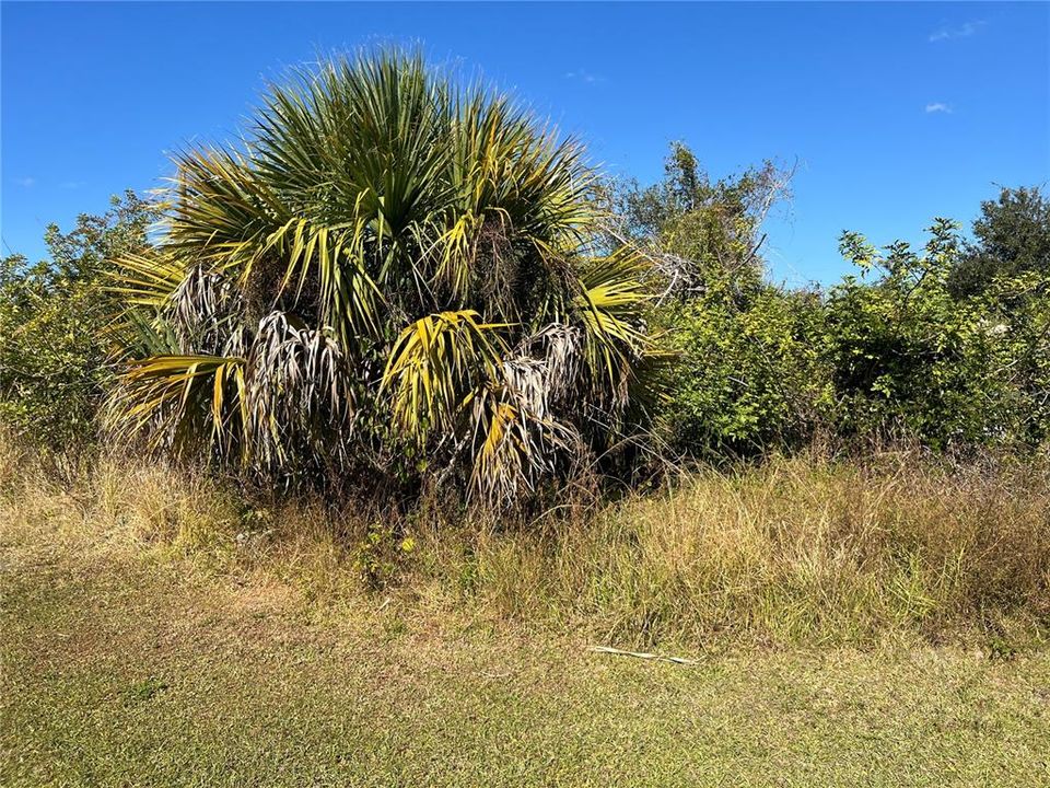 Activo con contrato: $21,000 (0.23 acres)