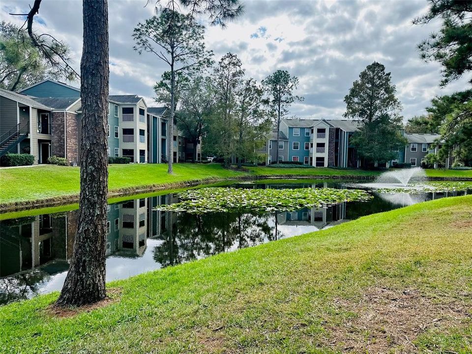 出租: $1,300 (1 贝兹, 1 浴室, 605 平方英尺)