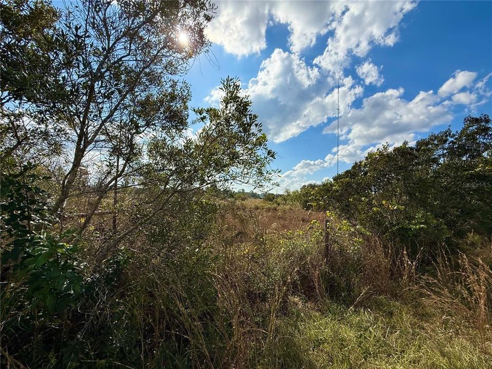 На продажу: $649,000 (20.39 acres)