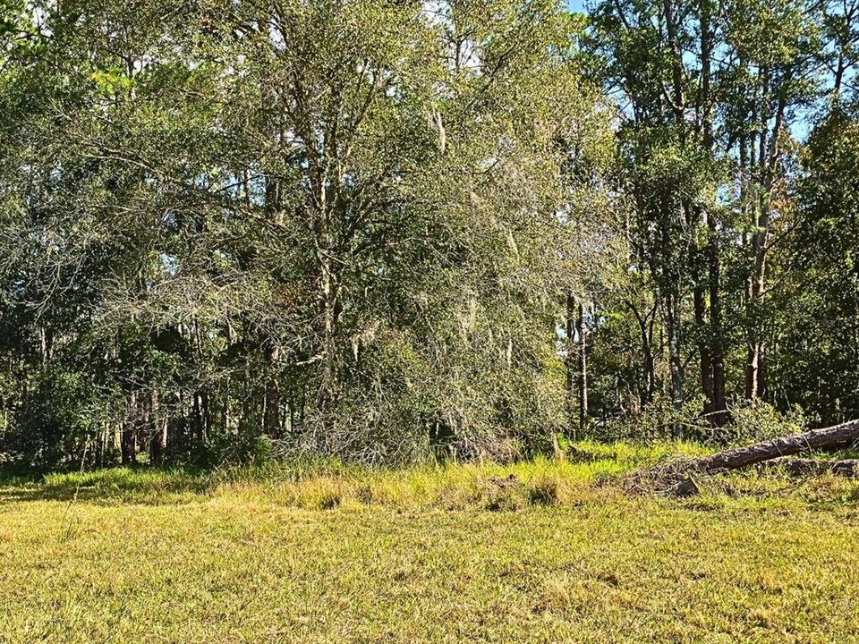 For Sale: $245,000 (1.90 acres)