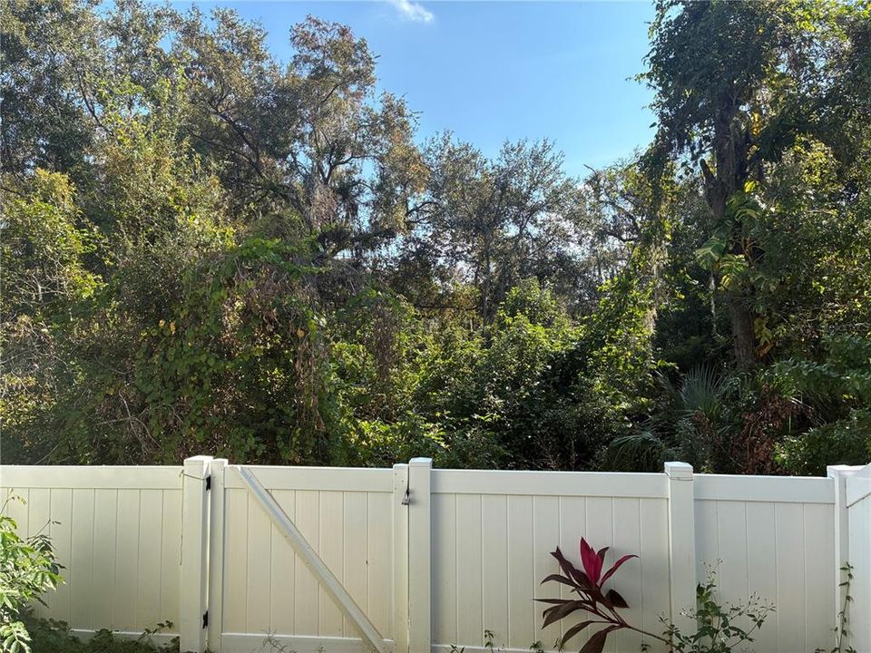 出租: $1,675 (2 贝兹, 2 浴室, 1570 平方英尺)