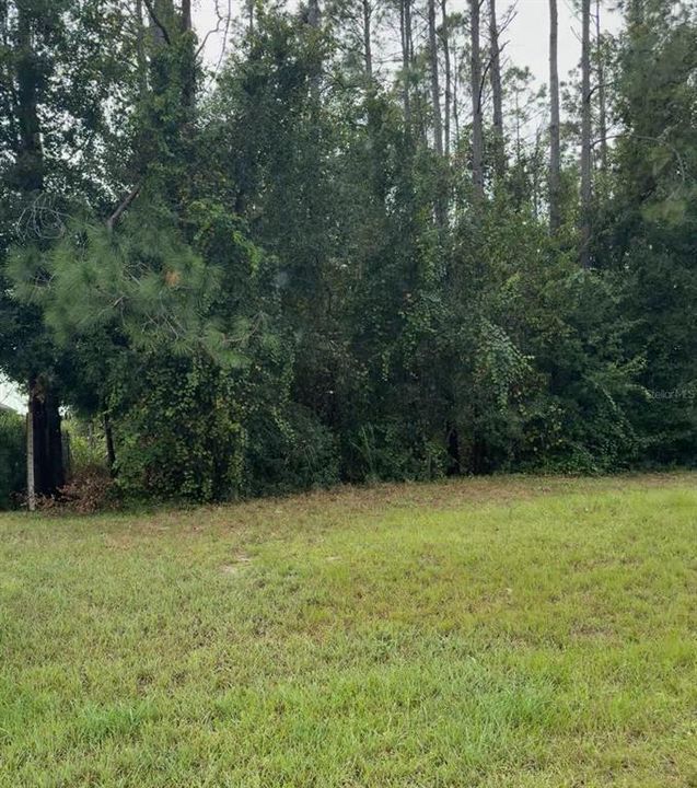 For Sale: $130,000 (0.85 acres)