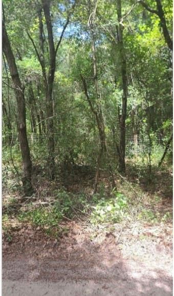 待售: $37,000 (1.25 acres)