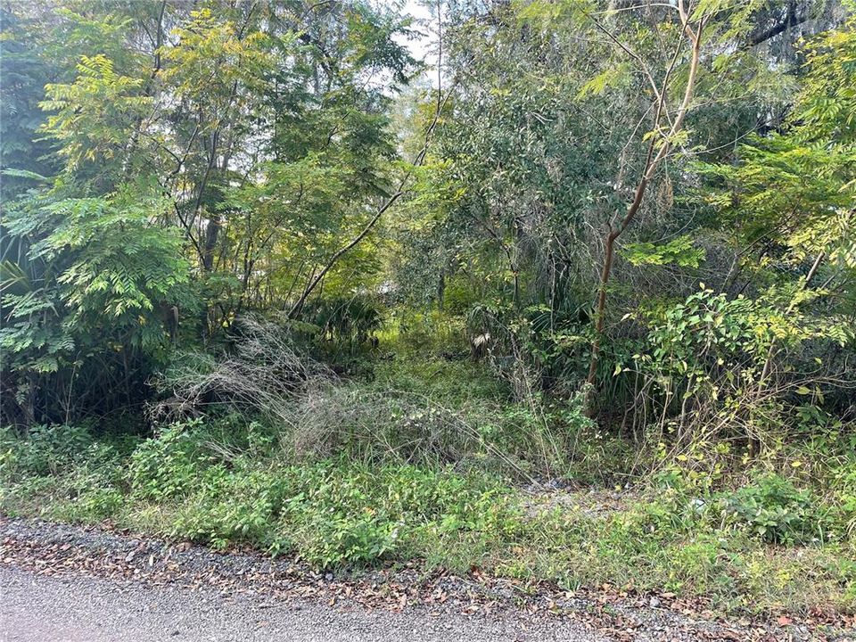 For Sale: $37,500 (0.22 acres)