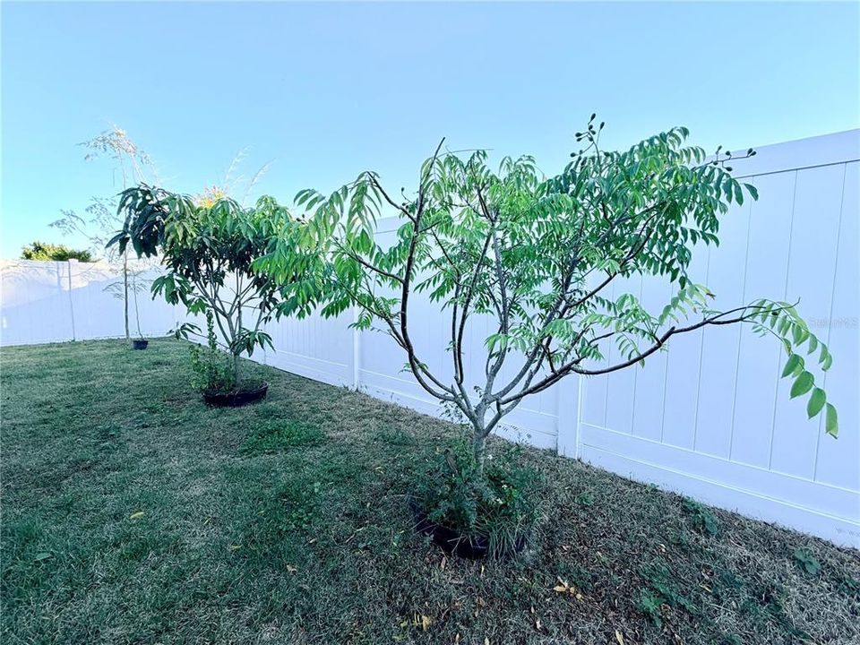 For Sale: $474,900 (4 beds, 3 baths, 2759 Square Feet)