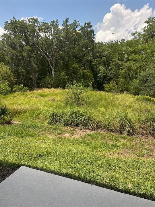 В аренду: $2,600 (3 спален, 2 ванн, 1760 Квадратных фут)