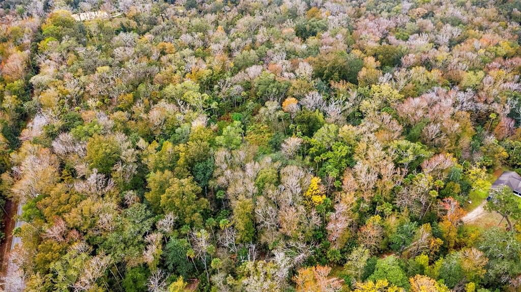 待售: $220,000 (1.98 acres)