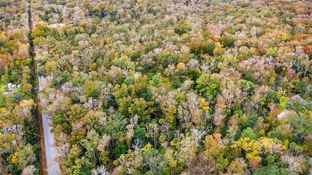 待售: $220,000 (1.98 acres)