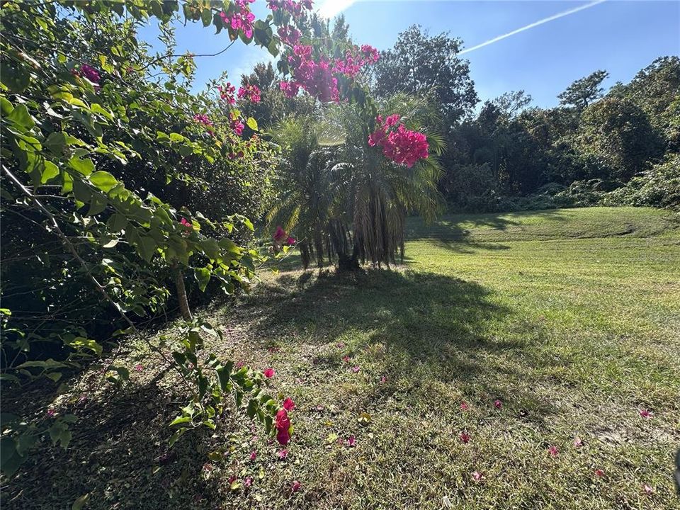 На продажу: $334,900 (4 спален, 2 ванн, 1642 Квадратных фут)