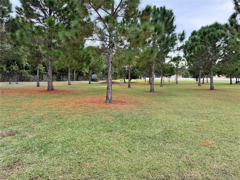 На продажу: $369,000 (3 спален, 2 ванн, 1611 Квадратных фут)